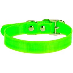 Ошейник КАСКАД Biotan (00225511) 25 мм, обхват шеи 39-52 см зеленый