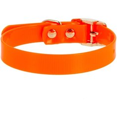 Ошейник КАСКАД Biotan (00220351) 20 мм, обхват шеи 25-35 см оранжевый