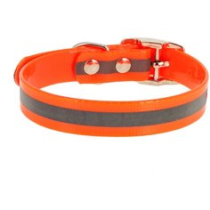 Ошейник КАСКАД Biotan (00225512) 25 мм, обхват шеи 39-52 см оранжевый