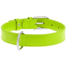 Ошейник collar glamour 32005 без украшений зеленый 9 мм*18-21 см, (2 шт)