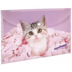 Юнландия Папка-конверт с кнопкой Котенок А4, 160 мкм розовый/фиолетовый