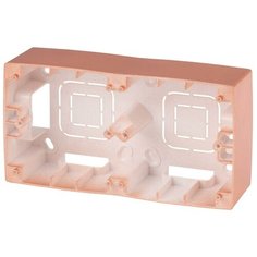 Коробка для накладного монтажа 2-постовая ЭРА 12 12-6102-14 Б0043178 ERA