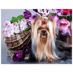 Картина по номерам Paintboy "Йоркширский терьер и цветы", 40x50 см