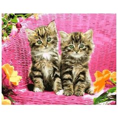 Картина по номерам Paintboy "Котята в корзине", 40x50 см