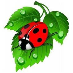 Алмазная мозаика "Божья коровка",№2, 20x20 см