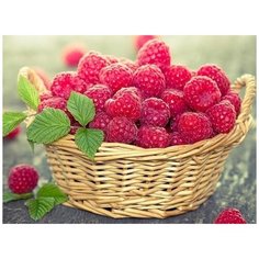 Алмазная мозаика "Малина", 40x53 см Империя Бисера