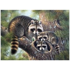 Алмазная мозаика "Еноты", 40x54 см Империя Бисера