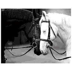 Картина по номерам "Инь и Янь", 40x50 см ВанГогВоМне