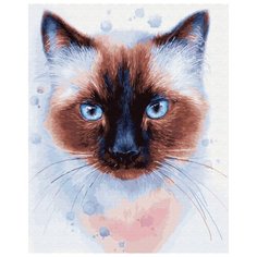 Картина по номерам "Темный нос", 40x50 см ВанГогВоМне