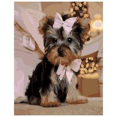 Картина по номерам "Собачка с бантиком", 40x50 см ВанГогВоМне