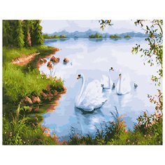 Картина по номерам ВанГогВоМне "Белые лебеди", 40x50 см