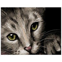 Картина по номерам ВанГогВоМне "Кошачьи глаза", 40x50 см