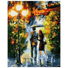 Картина по номерам ВанГогВоМне "Прогулка под дождем", 40x50 см