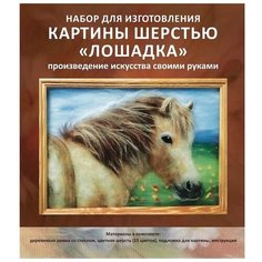 Картина шерстью «Лошадка», 20x30 см, Цветной
