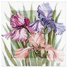Набор для вышивания «Цветущие ирисы», 36x40 см, Овен