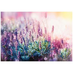 Алмазная мозаика "Цветущая лаванда", 45х65 см ФРЕЯ