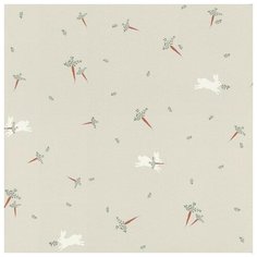 Обои Rasch 249248