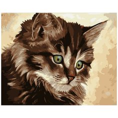 Раскрашивание, раскраски "ФРЕЯ" PNB/R1 №73 Набор для раскрашивания по номерам 40 х 50 см "Милый котенок"