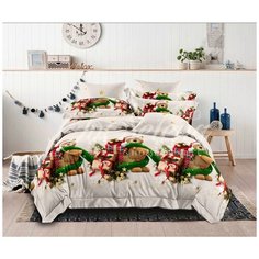 Детское постельное белье поплин d846 1,5 спальное детские расцветки Iv Selena