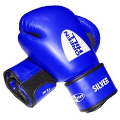 Боксерские перчатки Green hill Silver (BGS-2039) синий 12 oz
