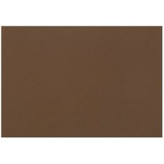 Бумага Fabriano Tiziano для пастели 65 х 50 см, 160г/м², 1 л. caffe