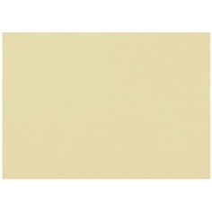 Бумага Fabriano Tiziano для пастели 65 х 50 см, 160г/м², 1 л. mandorla