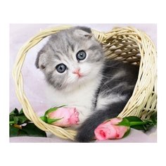 Алмазная мозаика, блестящая "Милый котёнок в корзинке", 20х20 см (с полным заполнением, с подрамником)