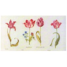Набор для вышивания Тюльпаны Джейкоба Маррель и Джудит Лейстер, 16-й век, канва лён 36 ct 72 х 42 см THEA GOUVERNEUR 786