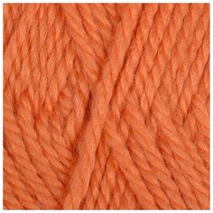 Пряжа для вязания КАМТ Гармония (50% импортная п/т шерсть, 50% акрил) 5х100г/245м цв.198 мандарин Камтекс