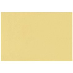 Бумага Fabriano Tiziano для пастели 65 х 50 см, 160г/м², 1 л. Banana