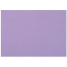 Бумага Fabriano Tiziano для пастели 65 х 50 см, 160г/м², 1 л. Violetta