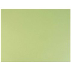 Бумага Fabriano Tiziano для пастели 65 х 50 см, 160г/м², 1 л. verduzzo