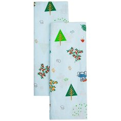 Набор ситцевых пеленок Amarobaby Emotion Медвежата, голубой-2 шт.