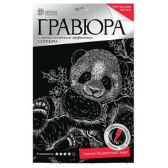 Гравюра Школа талантов Панда (2147956) серебристая основа