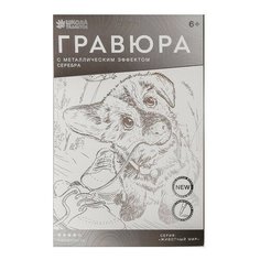Гравюра Школа талантов Пес с ботинком (4528665) серебристая основа