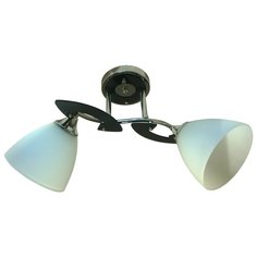 Люстра потолочная JUPITER LIGHTING N01-1715/2, E27, 2х60 Вт
