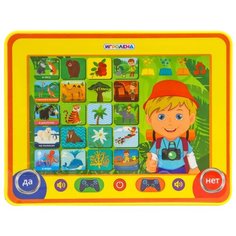 Развивающая игрушка ИГРОЛЕНД Обо всем вокруг 272-683, разноцветный