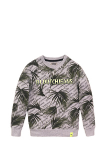 Толстовка DJ DUTCHJEANS