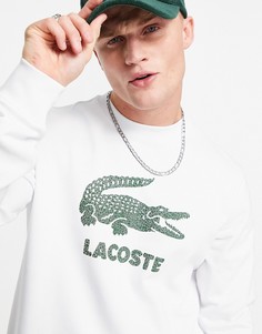 Белый свитшот с круглым вырезом и логотипом с крокодилом Lacoste
