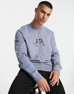 Серый свитшот с логотипом Emporio Armani