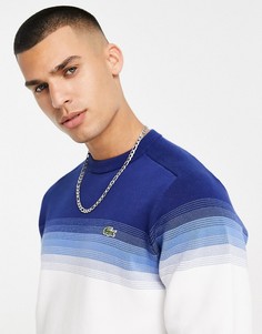 Джемпер с круглым вырезом и полосками Lacoste-Голубой
