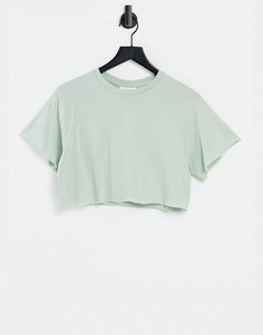 Шалфейно-зеленая укороченная футболка с рукавами реглан Topshop-Зеленый цвет