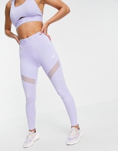 Сиреневые леггинсы с фирменным логотипом на поясе adidas Training-Фиолетовый цвет