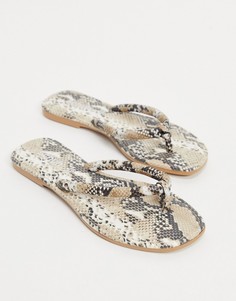 Кожаные шлепанцы с квадратным мыском и змеиным принтом schuh Tassy-Многоцветный