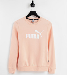 Свитшот персикового цвета с логотипом Puma Essentials-Оранжевый цвет