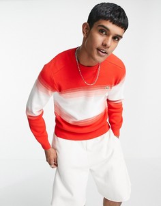 Джемпер с круглым вырезом и полосками Lacoste-Красный