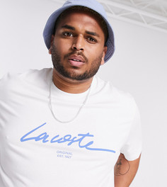 Белая футболка с логотипом Lacoste-Белый