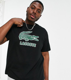 Черная футболка с логотипом в виде крокодила на груди Lacoste-Черный цвет