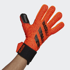 Вратарские перчатки Predator Competition adidas Performance