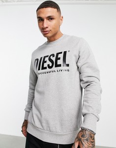 Серый свитшот с логотипом Diesel Gir-division